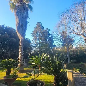La Pineta Affittacamere